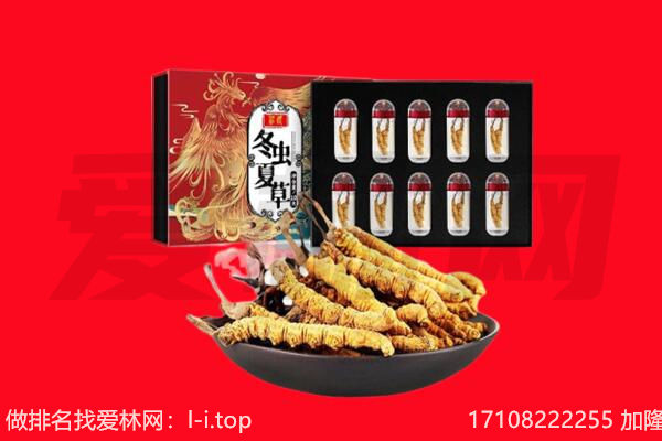 沭阳县回收虫草.jpg